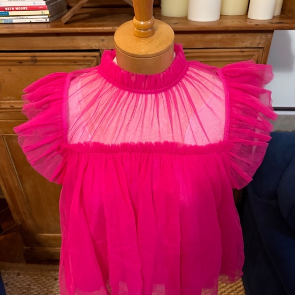 Anthropologie Sunday in Brooklyn Vibrant Pink Ruffled mesh Top - Picture 4 of 9
